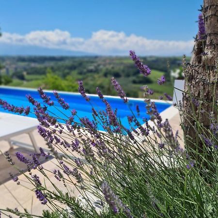 Il Nido B&B San Vito Chietino Exteriör bild