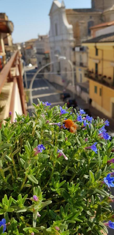 Il Nido B&B San Vito Chietino Exteriör bild